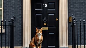 Image representing 10 Downing Street, Westminster