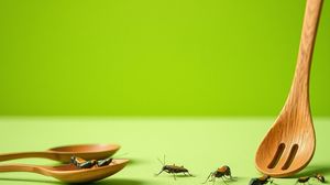 Image representing Horizon Edible Insects Cookery Classes, Ealing