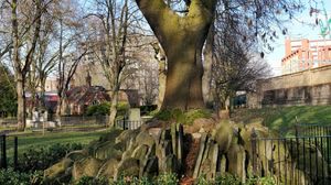 Image representing Hardy Tree, St. Pancras (?)