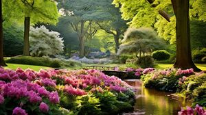 Image representing Isabella Plantation, Richmond Park