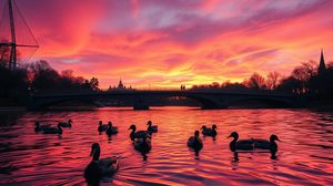 Image representing The Serpentine, Hyde Park