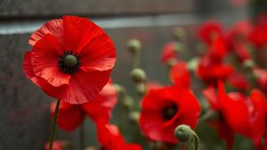 Image representing The Bomber Command Memorial